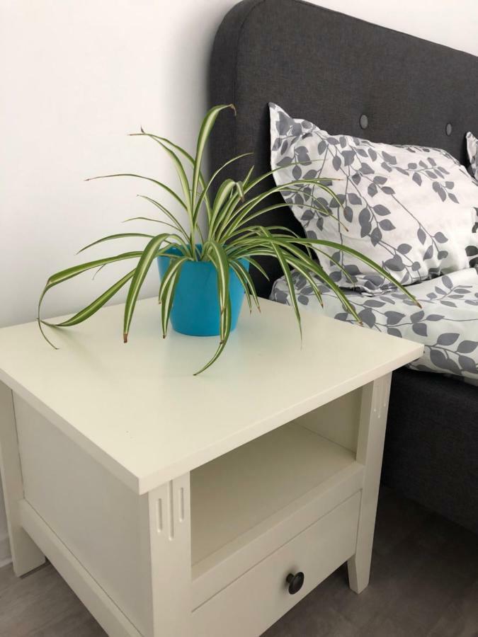 Sunrise Apartment 布加勒斯特 外观 照片